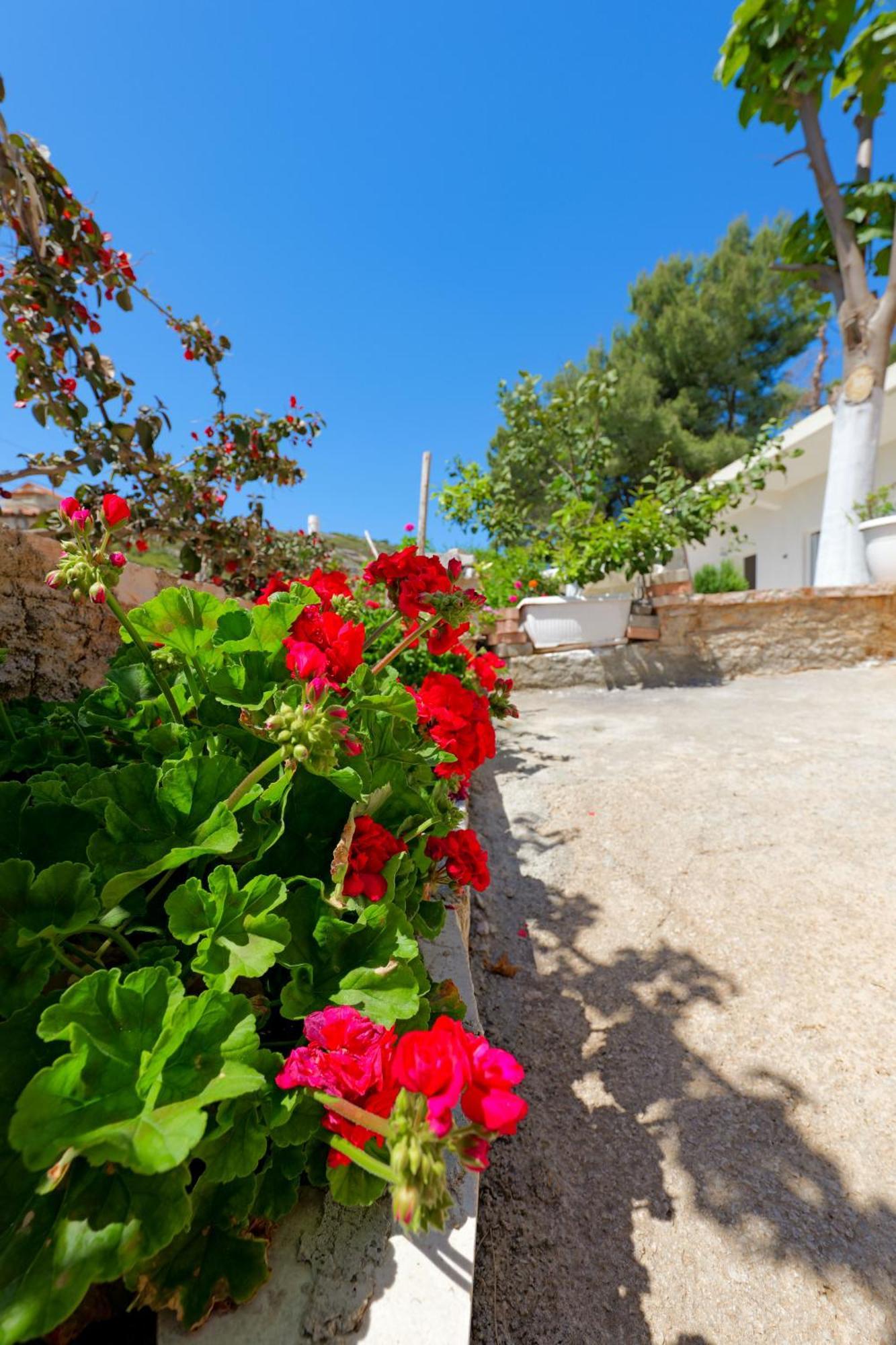 Flower Vila Sarande Bagian luar foto