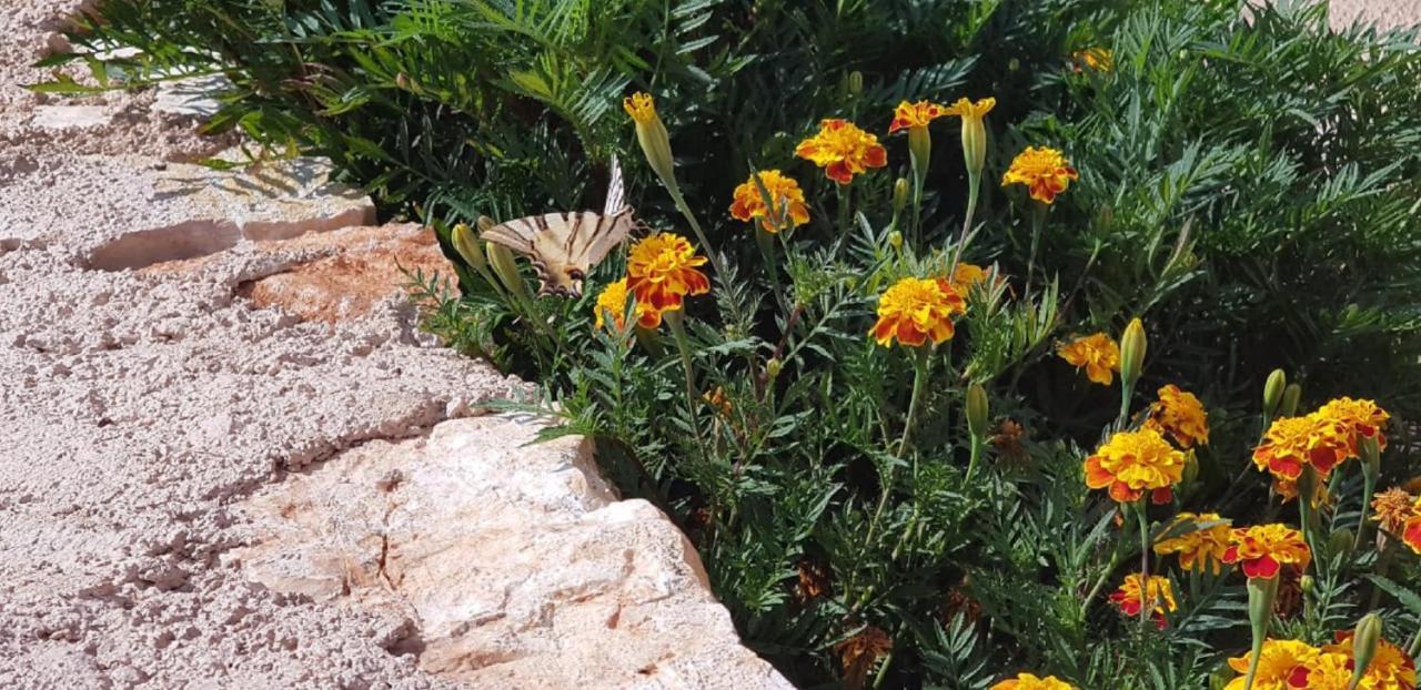 Flower Vila Sarande Bagian luar foto